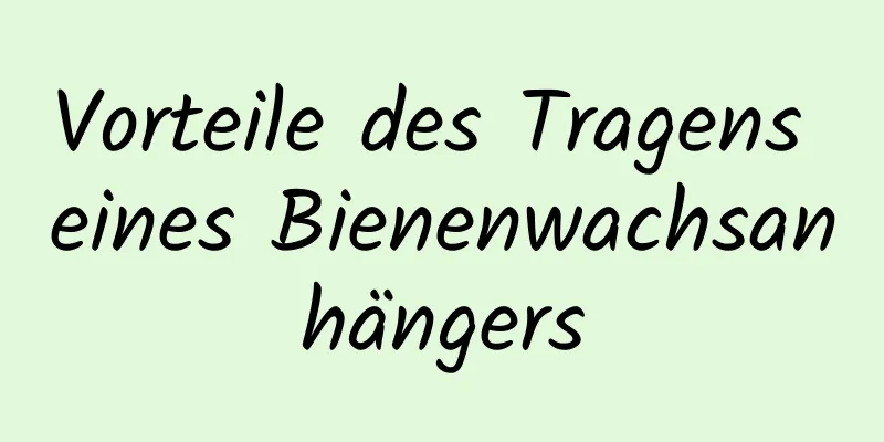 Vorteile des Tragens eines Bienenwachsanhängers
