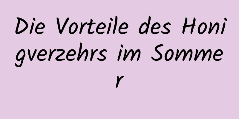 Die Vorteile des Honigverzehrs im Sommer