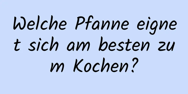 Welche Pfanne eignet sich am besten zum Kochen?