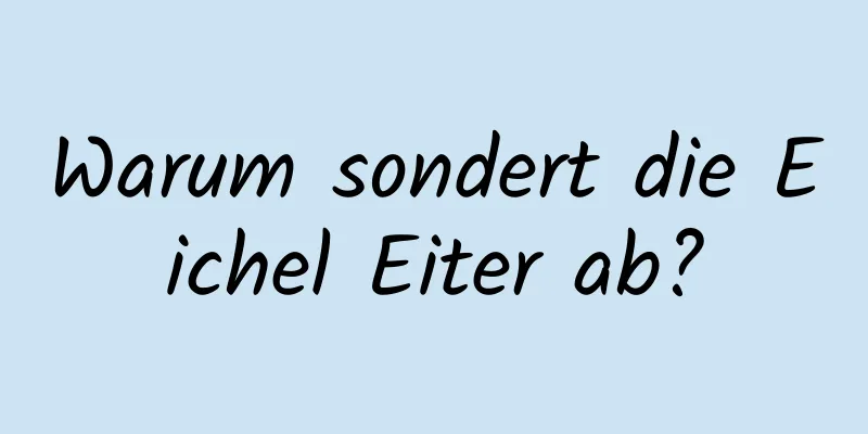 Warum sondert die Eichel Eiter ab?