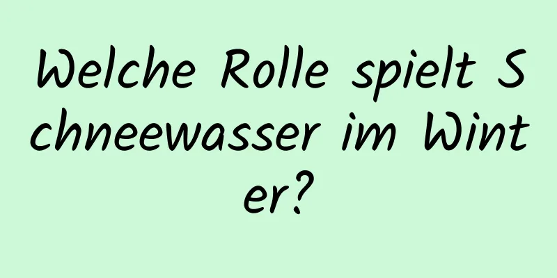 Welche Rolle spielt Schneewasser im Winter?