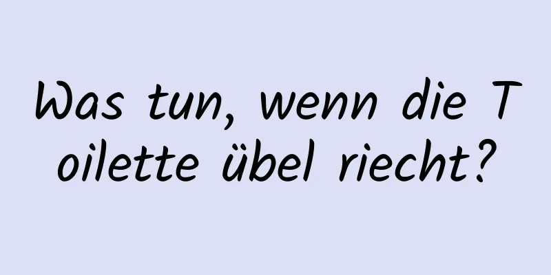 Was tun, wenn die Toilette übel riecht?