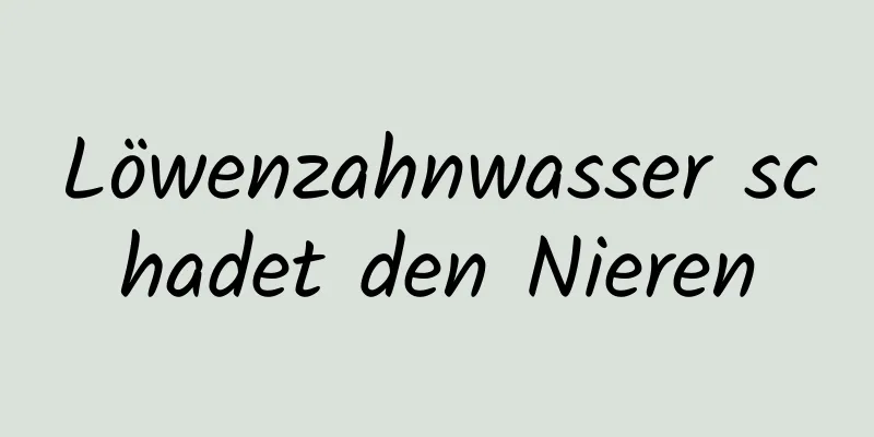 Löwenzahnwasser schadet den Nieren