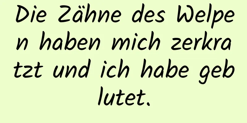 Die Zähne des Welpen haben mich zerkratzt und ich habe geblutet.