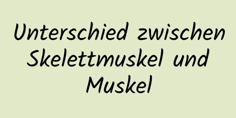 Unterschied zwischen Skelettmuskel und Muskel