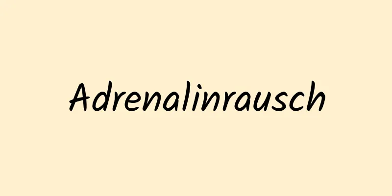 Adrenalinrausch