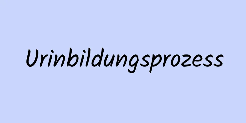 Urinbildungsprozess