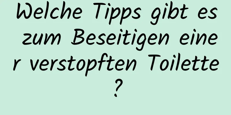 Welche Tipps gibt es zum Beseitigen einer verstopften Toilette?