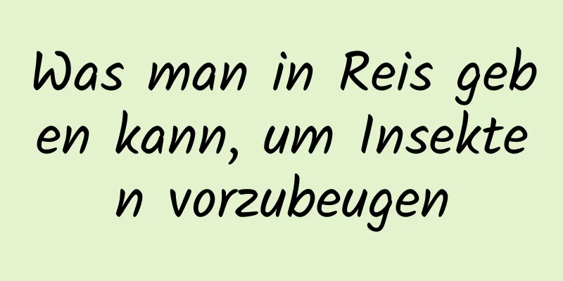 Was man in Reis geben kann, um Insekten vorzubeugen