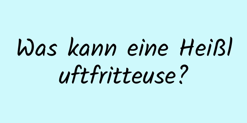 Was kann eine Heißluftfritteuse?