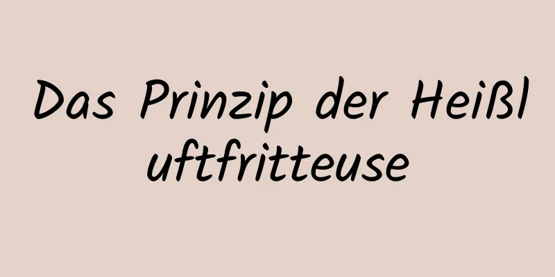 Das Prinzip der Heißluftfritteuse