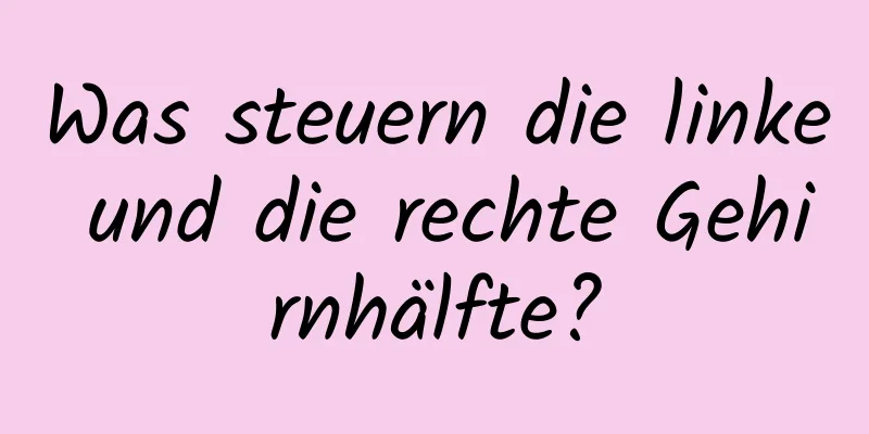 Was steuern die linke und die rechte Gehirnhälfte?