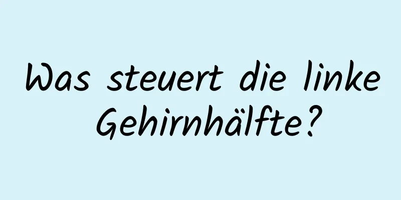 Was steuert die linke Gehirnhälfte?