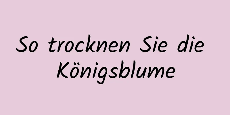 So trocknen Sie die Königsblume