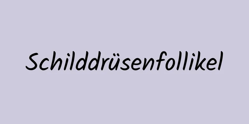 Schilddrüsenfollikel
