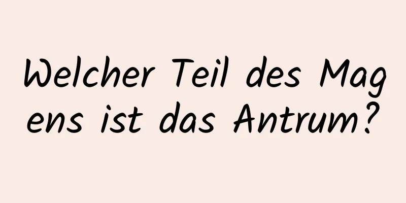 Welcher Teil des Magens ist das Antrum?