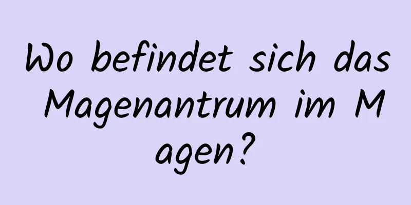 Wo befindet sich das Magenantrum im Magen?