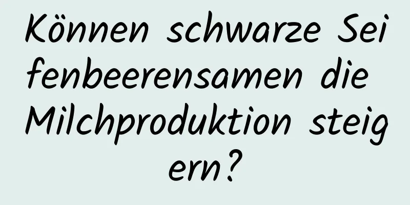 Können schwarze Seifenbeerensamen die Milchproduktion steigern?