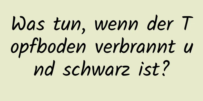 Was tun, wenn der Topfboden verbrannt und schwarz ist?
