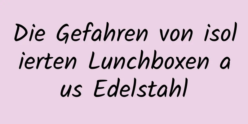 Die Gefahren von isolierten Lunchboxen aus Edelstahl