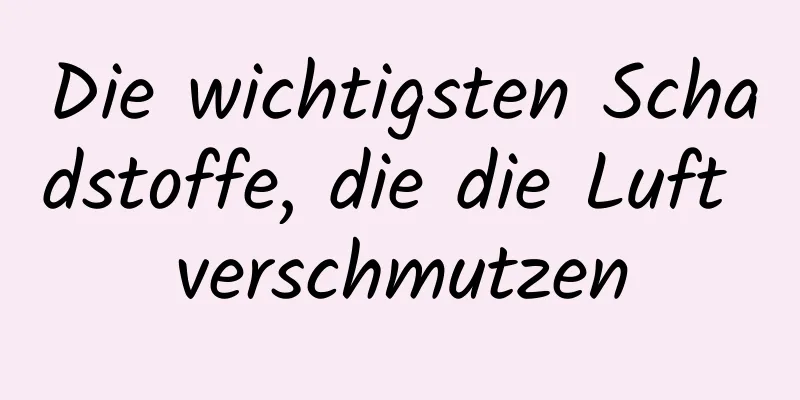 Die wichtigsten Schadstoffe, die die Luft verschmutzen