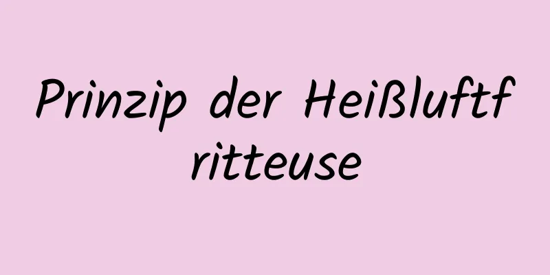 ​Prinzip der Heißluftfritteuse