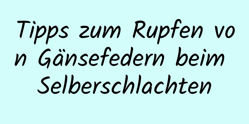 Tipps zum Rupfen von Gänsefedern beim Selberschlachten