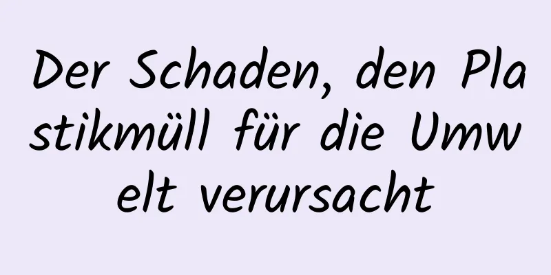 Der Schaden, den Plastikmüll für die Umwelt verursacht