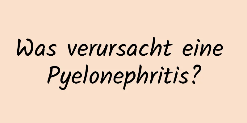 Was verursacht eine Pyelonephritis?