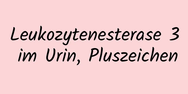 Leukozytenesterase 3 im Urin, Pluszeichen