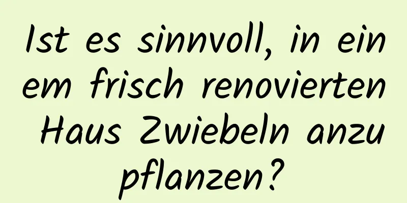 Ist es sinnvoll, in einem frisch renovierten Haus Zwiebeln anzupflanzen?