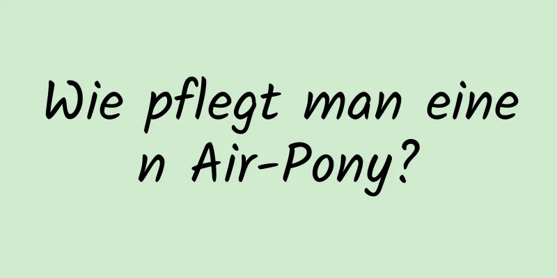 Wie pflegt man einen Air-Pony?