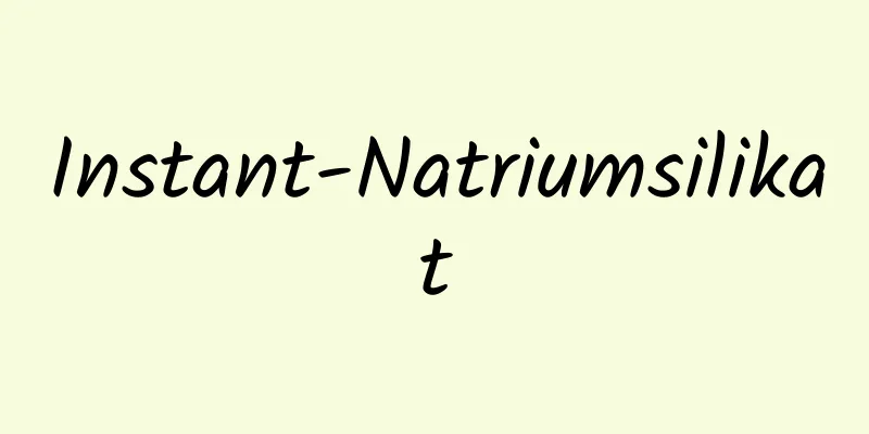 Instant-Natriumsilikat