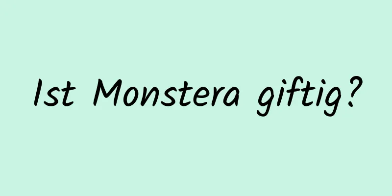 Ist Monstera giftig?