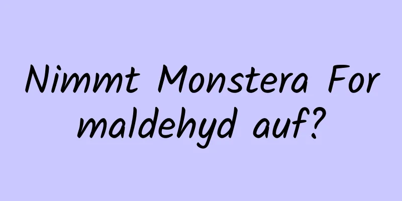 Nimmt Monstera Formaldehyd auf?