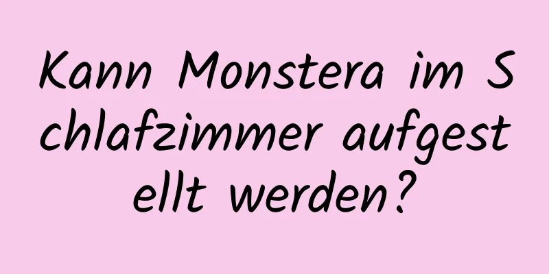 Kann Monstera im Schlafzimmer aufgestellt werden?