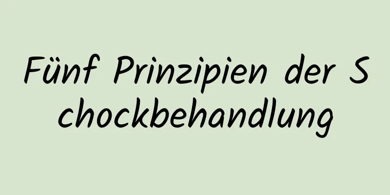 Fünf Prinzipien der Schockbehandlung