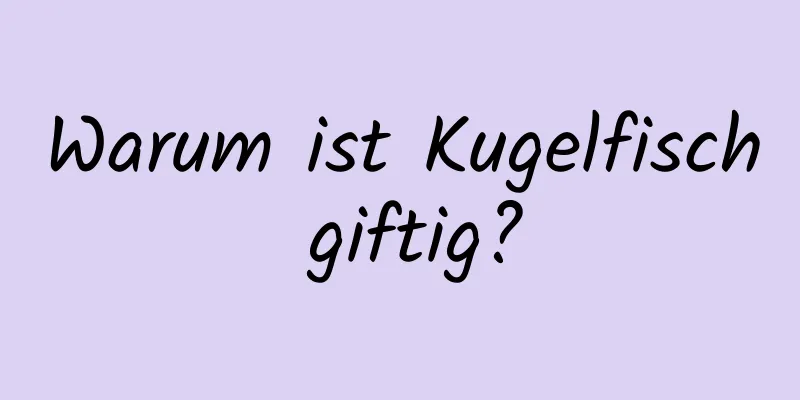 Warum ist Kugelfisch giftig?