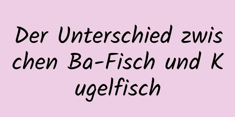 Der Unterschied zwischen Ba-Fisch und Kugelfisch