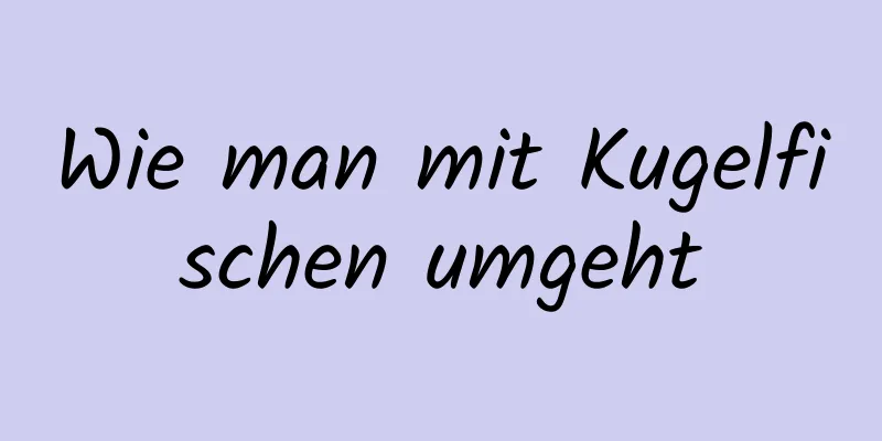 Wie man mit Kugelfischen umgeht