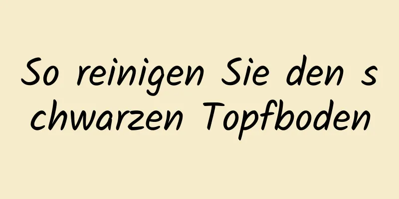 So reinigen Sie den schwarzen Topfboden