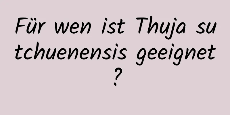 Für wen ist Thuja sutchuenensis geeignet?