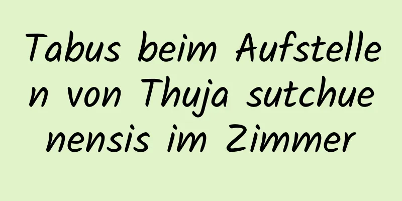 Tabus beim Aufstellen von Thuja sutchuenensis im Zimmer