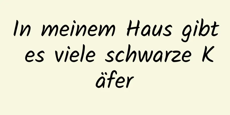 In meinem Haus gibt es viele schwarze Käfer