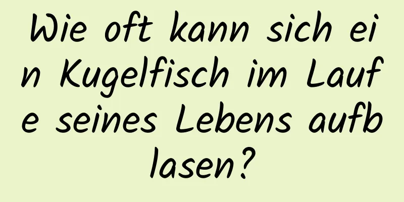 Wie oft kann sich ein Kugelfisch im Laufe seines Lebens aufblasen?
