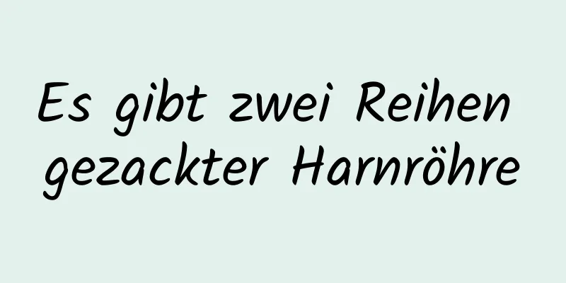 Es gibt zwei Reihen gezackter Harnröhre