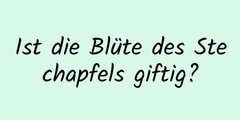 Ist die Blüte des Stechapfels giftig?