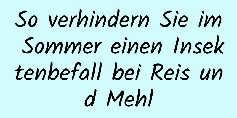 So verhindern Sie im Sommer einen Insektenbefall bei Reis und Mehl