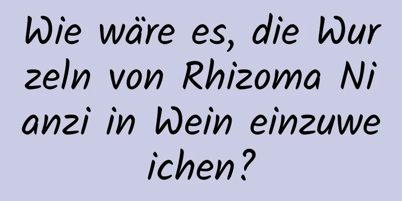 Wie wäre es, die Wurzeln von Rhizoma Nianzi in Wein einzuweichen?