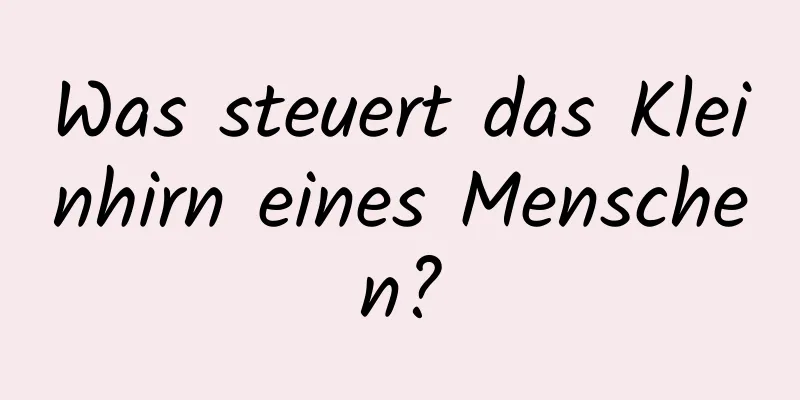Was steuert das Kleinhirn eines Menschen?